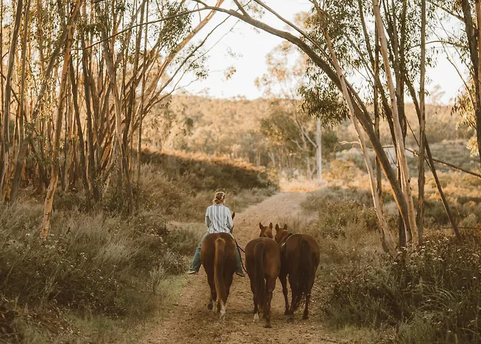 San Diego Trail Guest Ranch